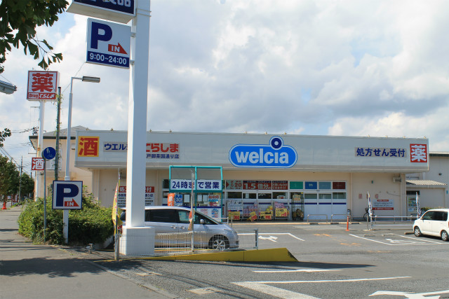 Dorakkusutoa. Drag Terashima Mito your tea plantation dori 462m to (drugstore)