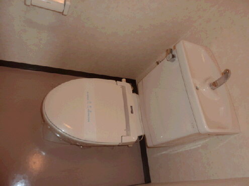 Toilet. It is a photograph of the 302 in Room.