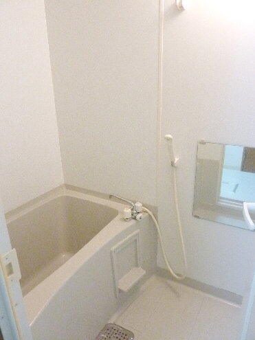 Bath. Mirror with the bath