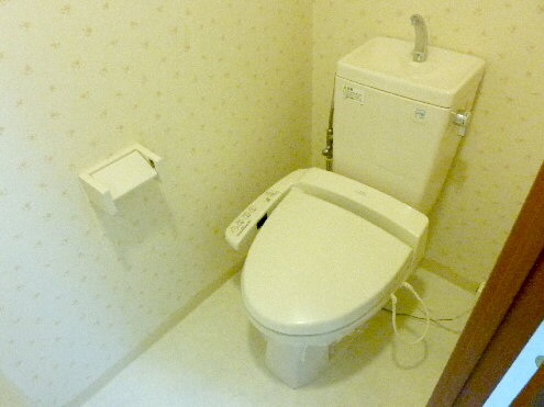 Toilet. With bidet in a wide toilet