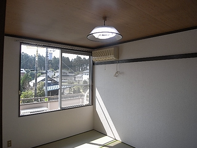 Living and room. Spacious Japanese-style