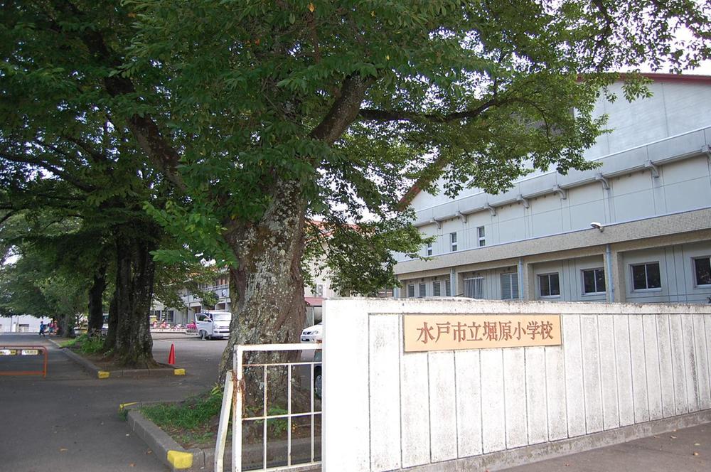 Other Environmental Photo. 862m until Mito Municipal HoriGen Elementary School