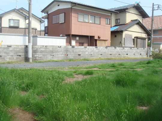 Local land photo