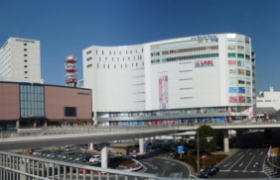 Shopping centre. 1133m to Mito South Tower (shopping center)