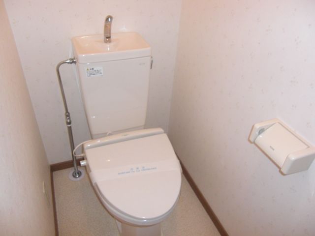 Toilet. Western-style toilet