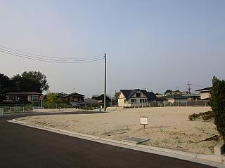 Local land photo