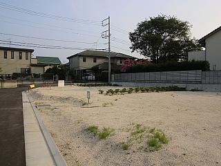 Local land photo