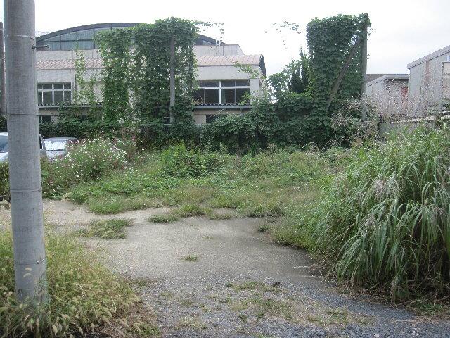 Local land photo
