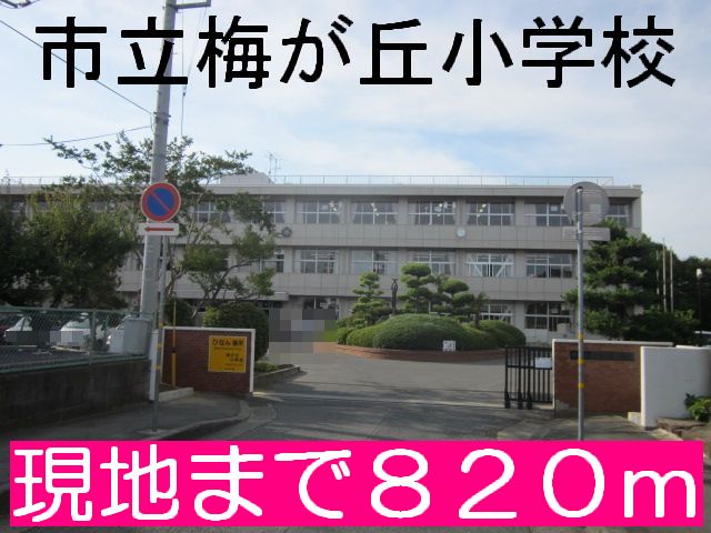 Primary school. 820m until Mito Municipal Umegaoka elementary school (elementary school)