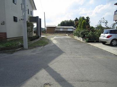 Other. Alley as seen from the road side