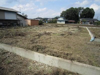 Local land photo. Compartment 2