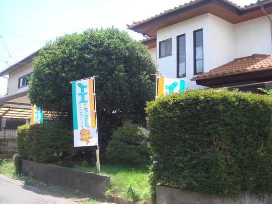 Local land photo