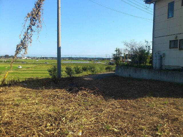 Local land photo