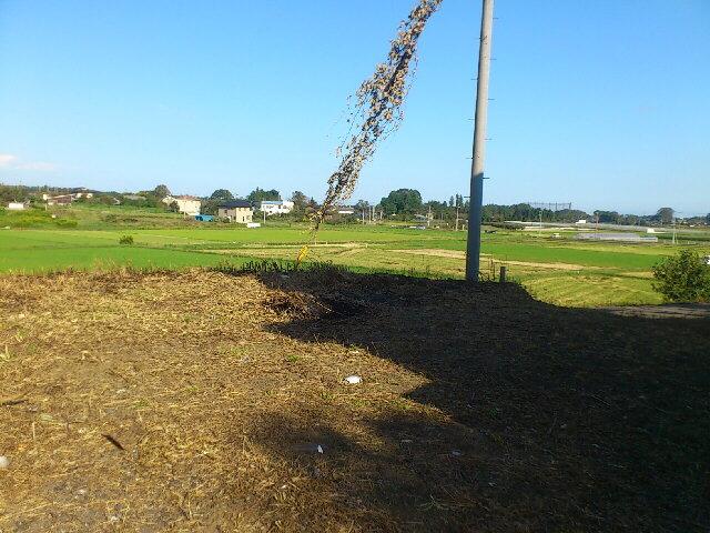 Local land photo