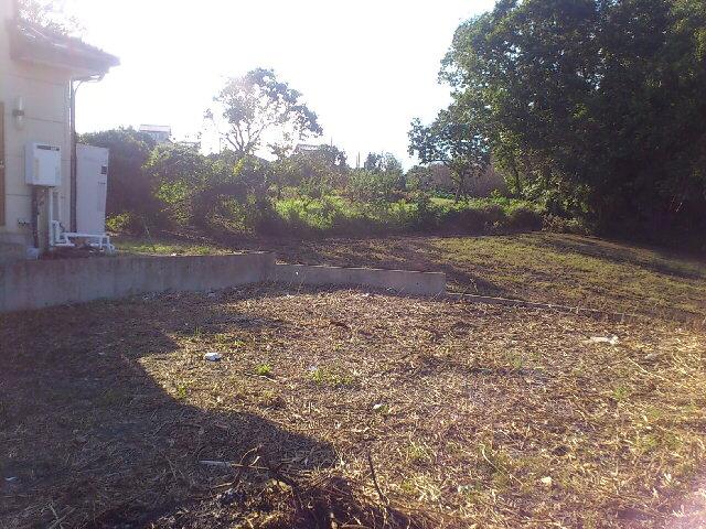 Local land photo