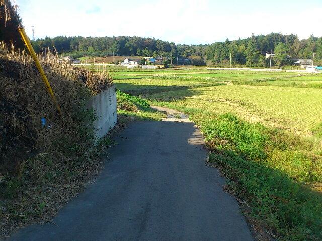 Local photos, including front road