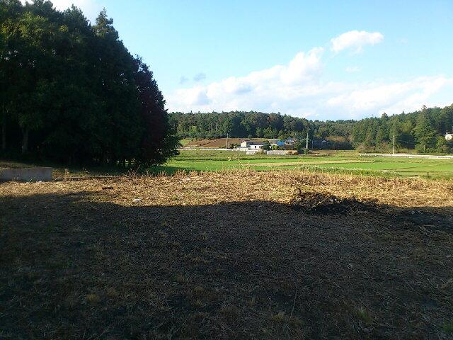 Local land photo
