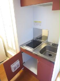 Kitchen. Electric stove with kitchen