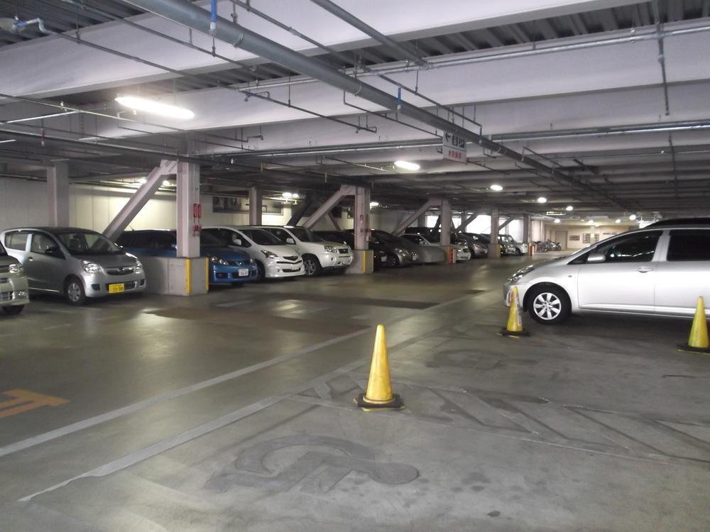 Parking lot. Self-propelled car park is equipped with a roof.