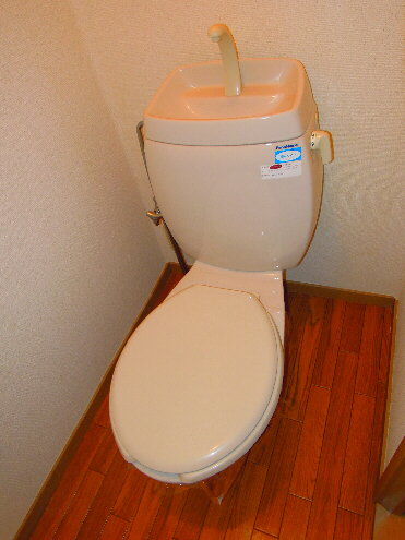 Toilet. It settles down space! Clean it has been cleaned! 