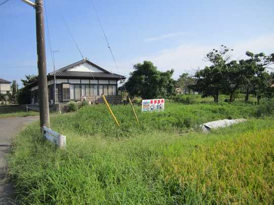 Local land photo