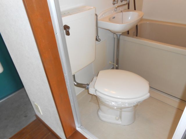 Toilet. Toilet of unit type. 