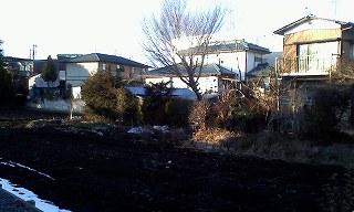 Local land photo