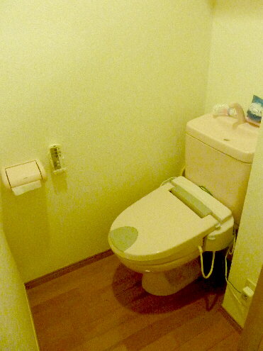 Toilet. Cleaning toilet seat toilet