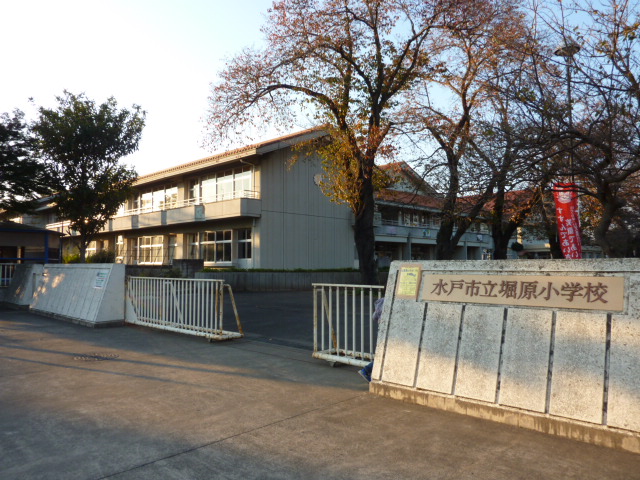 Primary school. 2020m to Mito Municipal HoriGen elementary school (elementary school)