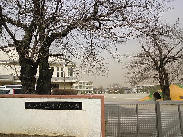 Primary school. 526m until Mito Municipal Watari Elementary School