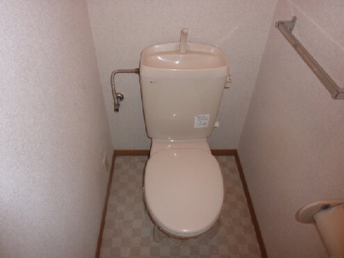 Toilet. Western-style toilet