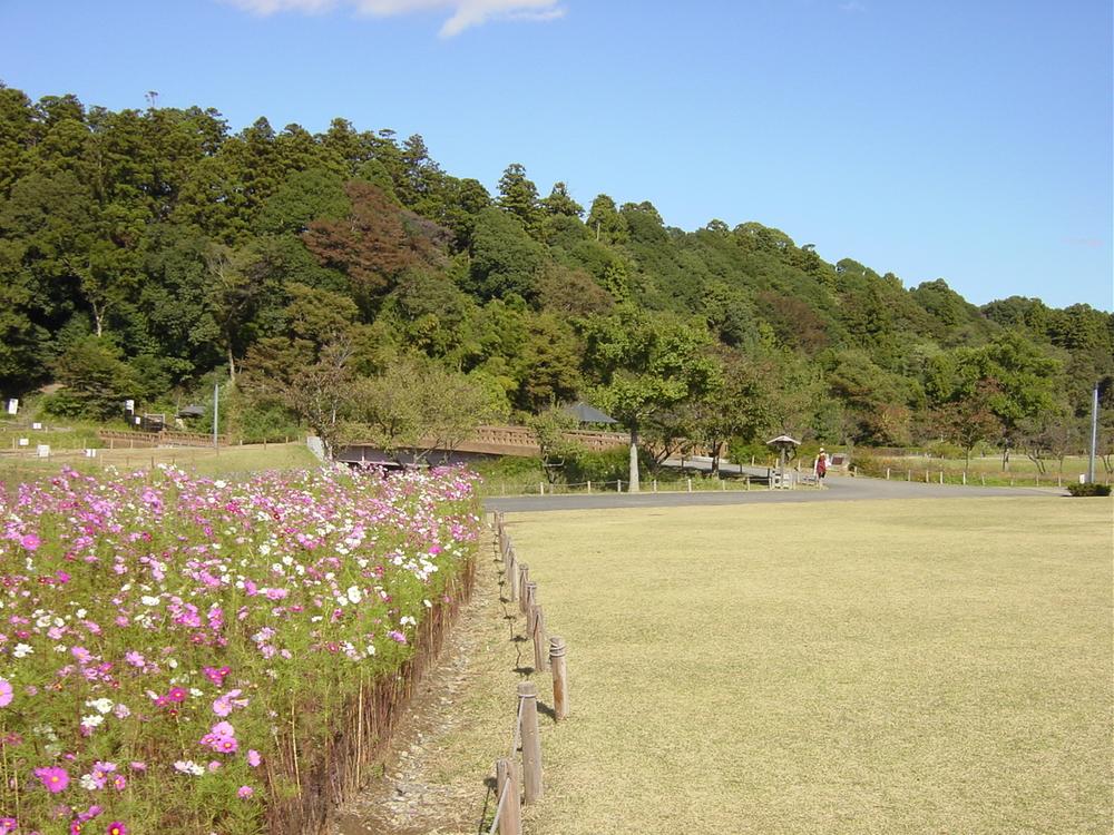 park. 1000m to Chinami park