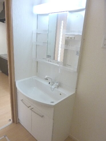 Washroom. Shampoo dresser! 