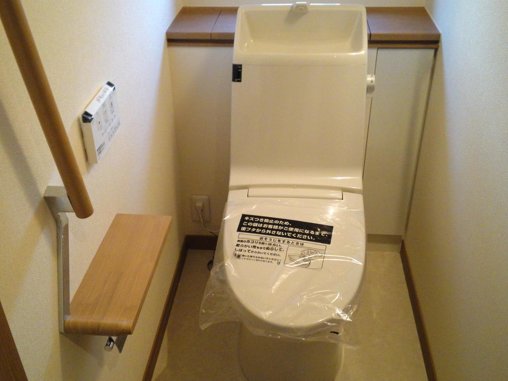 Toilet. Indoor (January 2012) shooting