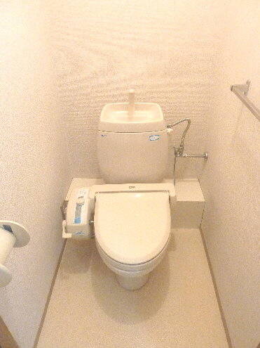 Toilet. With warm water washing toilet seat! 