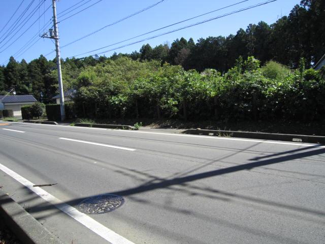 Local land photo