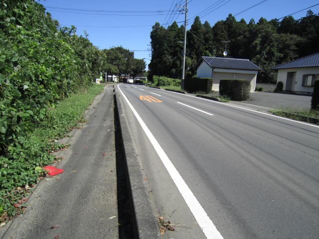 Local photos, including front road