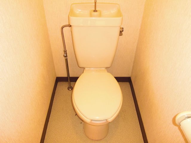 Toilet. Western-style toilet