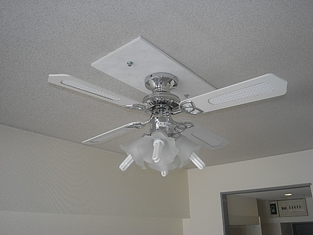 Other Equipment. Ceiling fan! (Depending on the equipment by the living room. )