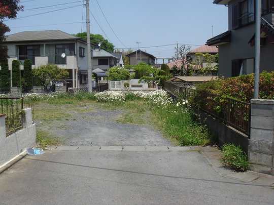 Local land photo