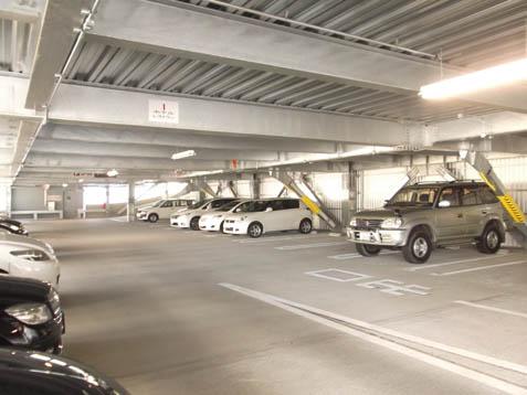 Parking lot. Self-propelled car park is equipped with roof.