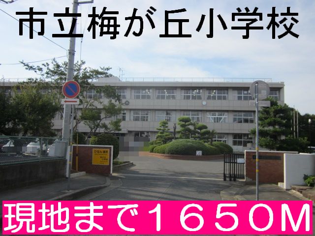 Primary school. 1650m to Mito Municipal Umegaoka elementary school (elementary school)
