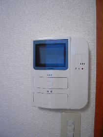 Other. Monitor with intercom