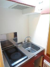 Kitchen. Electric stove with kitchen