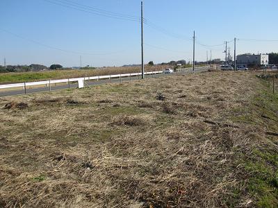 Local photos, including front road