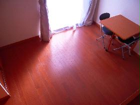 Living and room. With convenient folding table 3