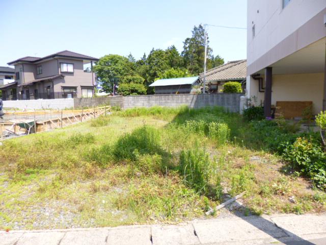 Local land photo