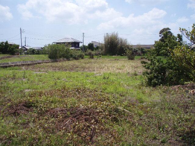 Local land photo