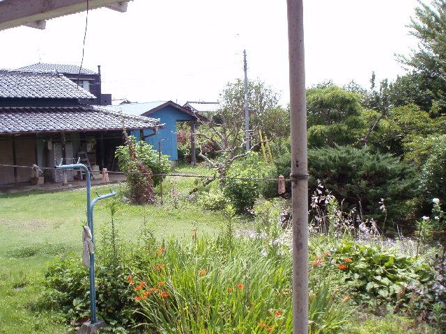 Local land photo