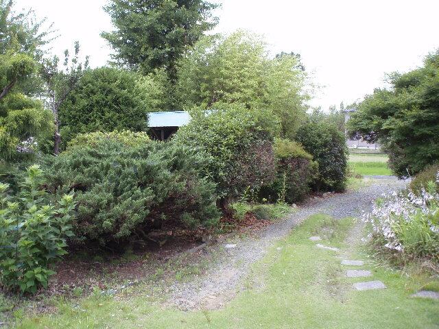 Local photos, including front road